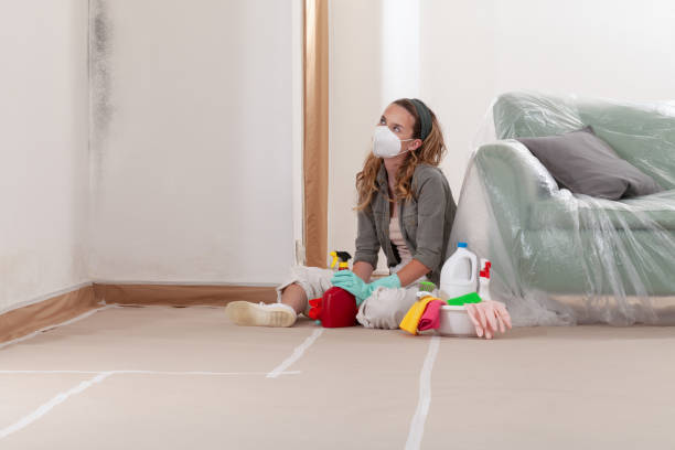 Reliable Mold Remediation contractor in Lowell, MA by Mold Remediation HQ